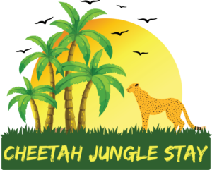 Cheetah Jungle Stay
