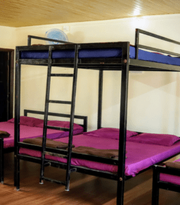 Dandeli Cheetah Jungle Stay Resort