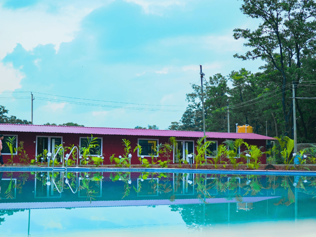 Pool - dandeli cheetah jungle stay resort