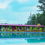 Pool - dandeli cheetah jungle stay resort