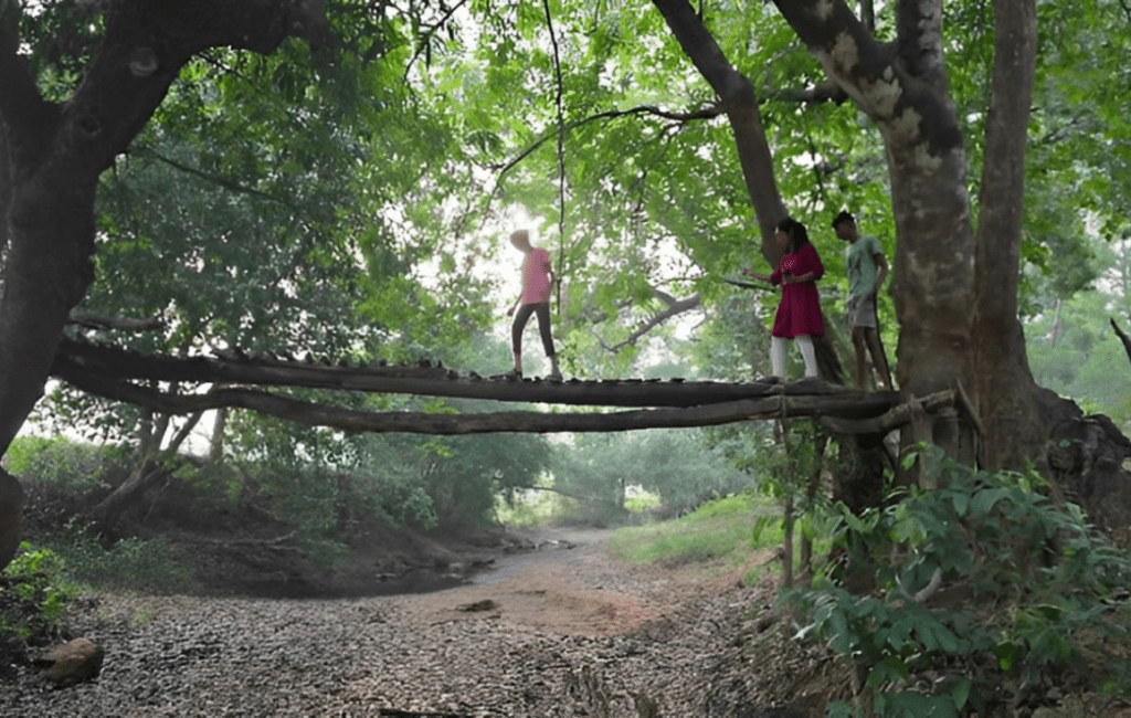 Best Dandeli Nature Stay