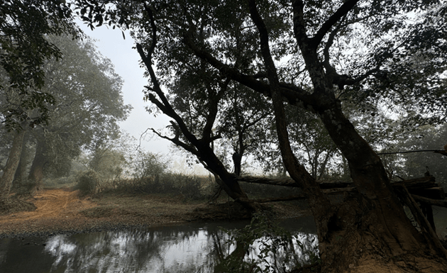 Dandeli wildlife sanctuary