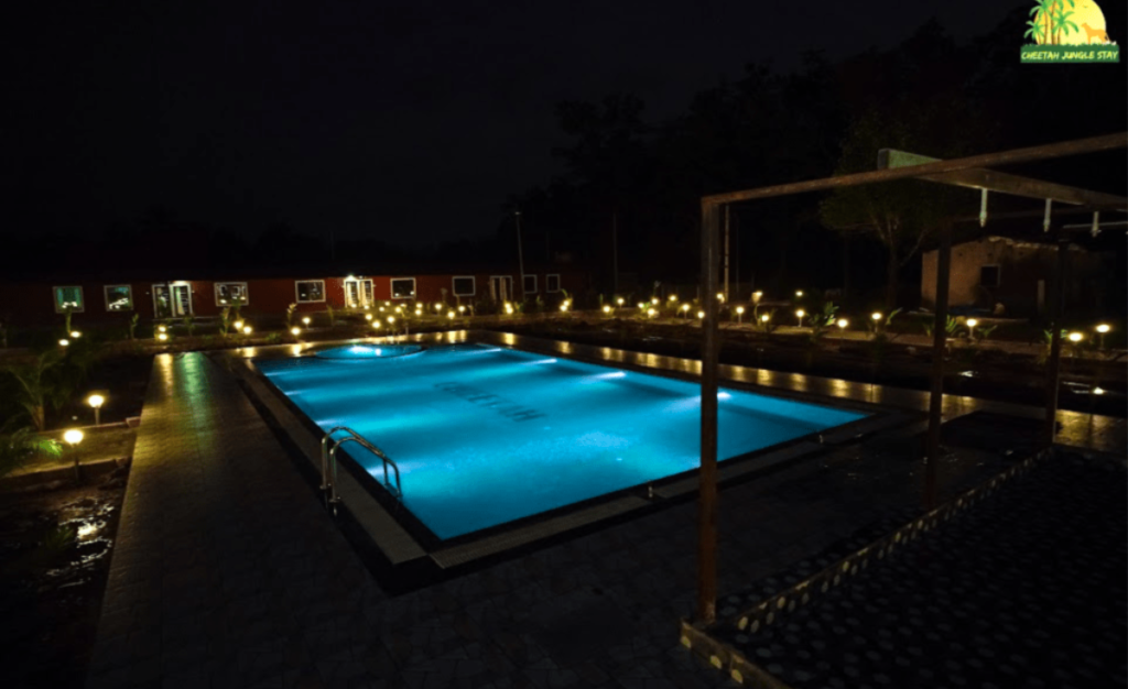 Best Jungle Resorts in Dandeli