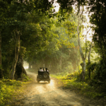 Top 10 Things to Do in Dandeli