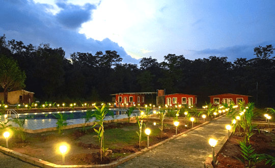 Dandeli jungle resort
