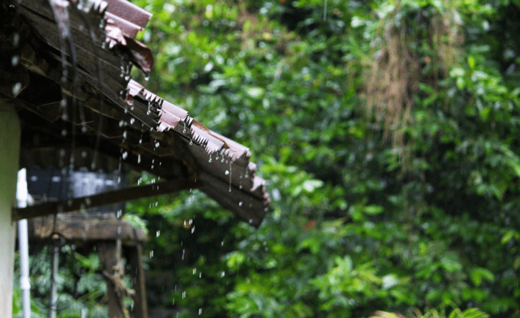 Dandeli monsoon stay