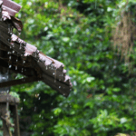 Dandeli monsoon stay