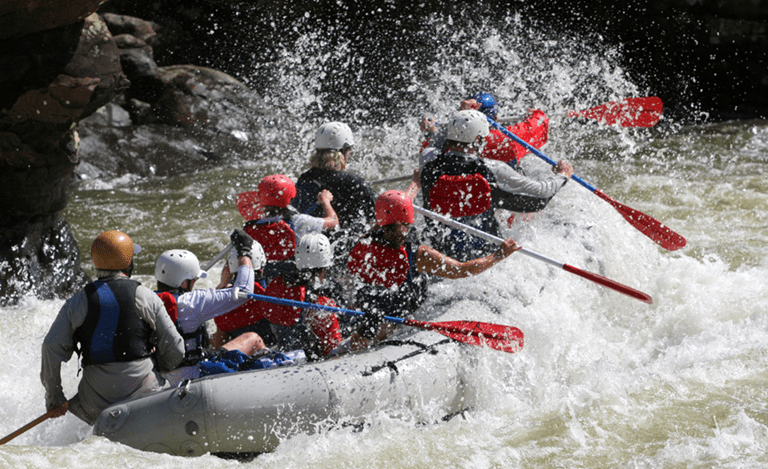 Lesser-known activities in Dandeli