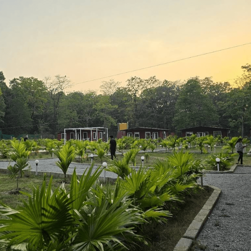 Dandeli Cheetah Jungle Stay Resort - Sunrise view at best resort in dandeli