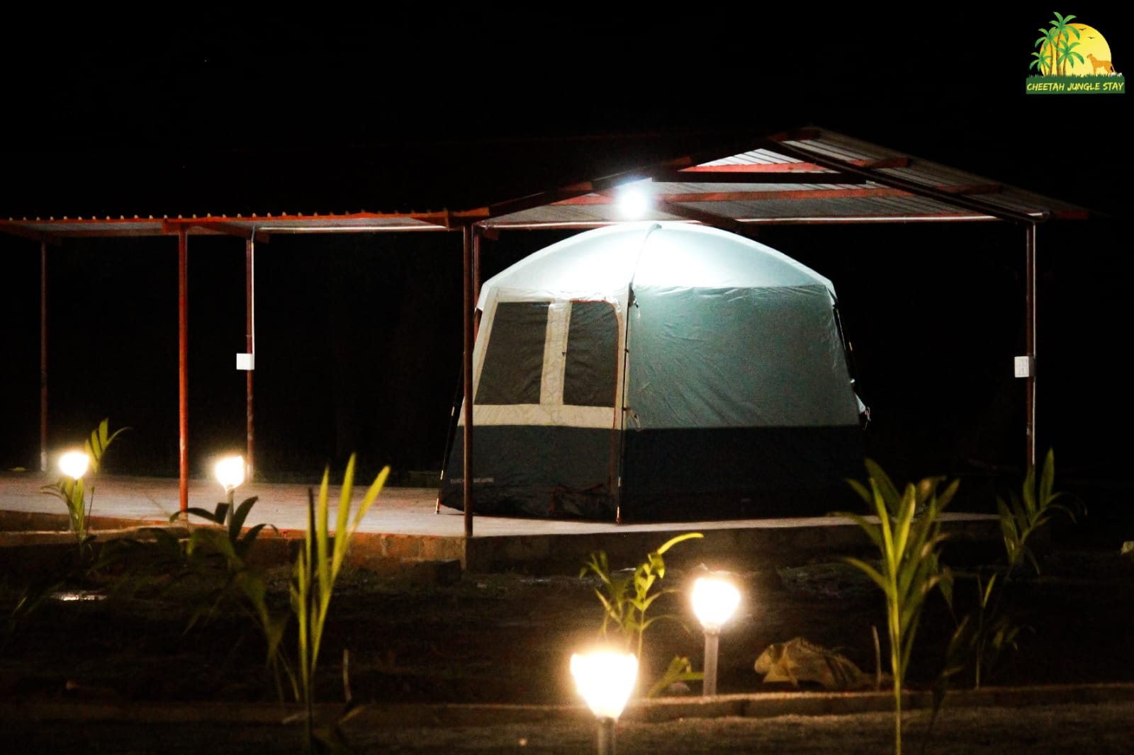 Dandeli in the Monsoon: What June to September Feels Like